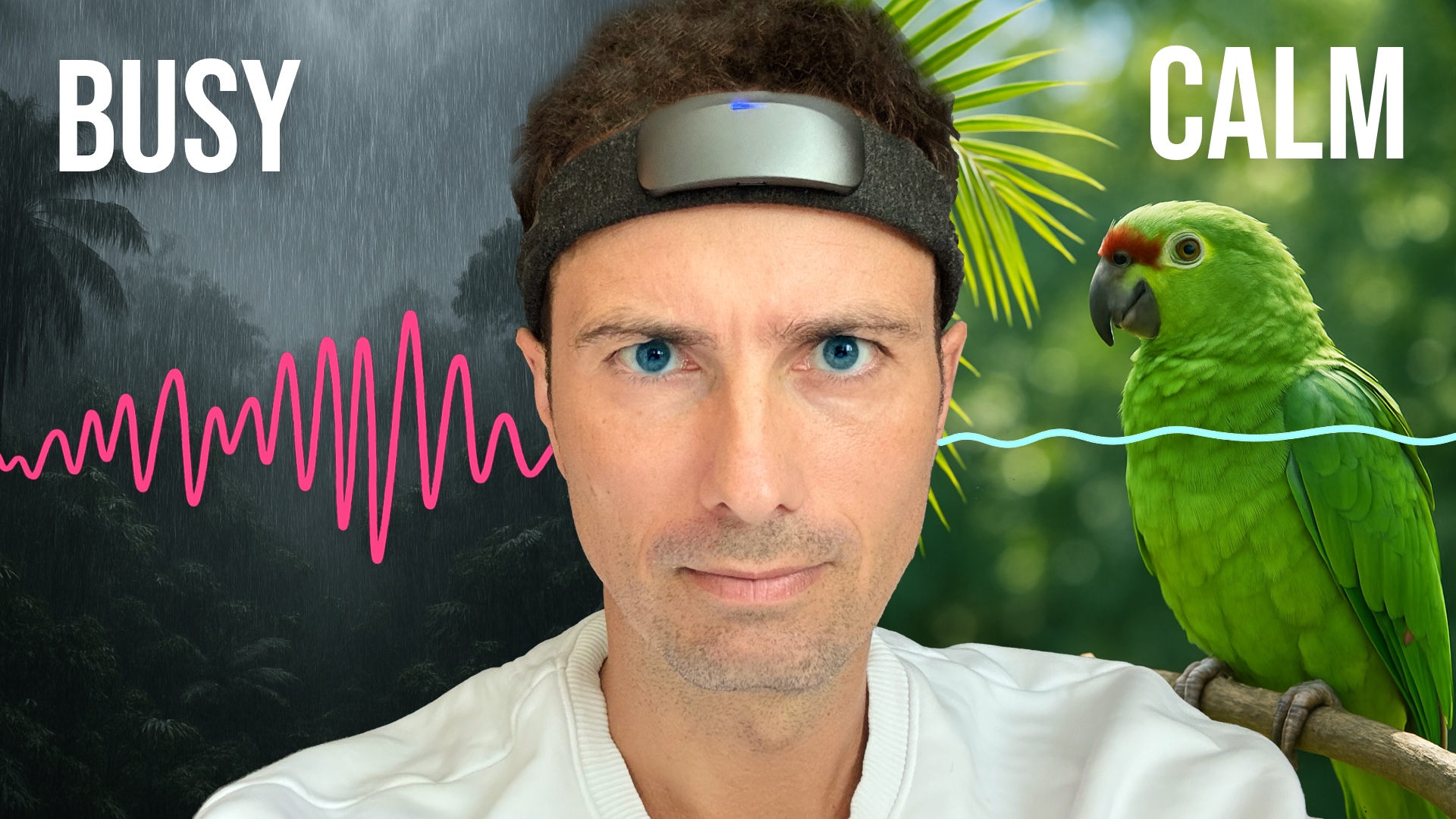 You can now see your brainwaves in real time